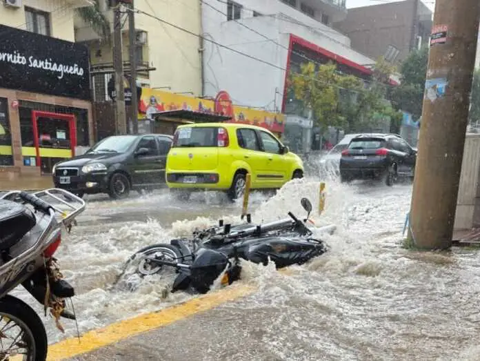 WhatsApp Image 2026-03-20 at 11.10.11