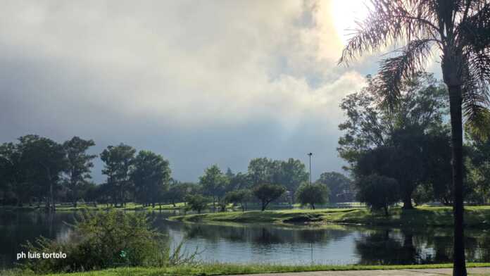 WhatsApp Image 2026-03-21 at 08.21.50