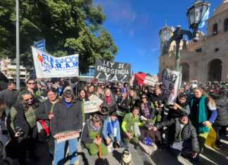 Marcela Rosado, fundación IRAM: “Hay un ensañamiento cada vez que la ciudadanía contradice al Ejecutivo. La respuesta es violentar y paralizar”