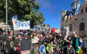 Marcela Rosado, fundación IRAM: “Hay un ensañamiento cada vez que la ciudadanía contradice al Ejecutivo. La respuesta es violentar y paralizar”
