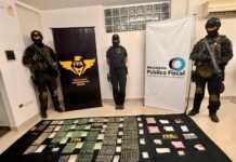 Histórico golpe al narcotráfico en Córdoba: desbaratan banda que operaba bajo la fachada de un showroom