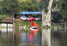 El lago subió y se nota: El agua inundó algunos puntos de la Costanera