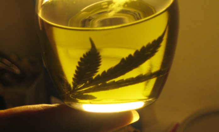 aceite_cannabis