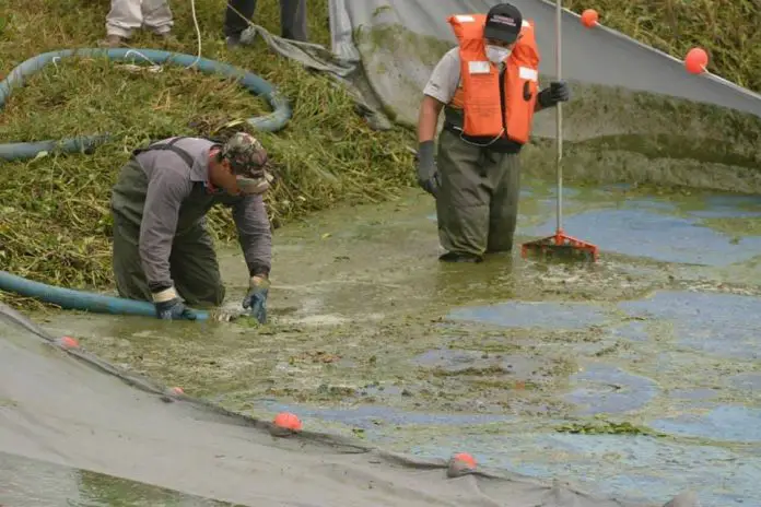 aguacontaminada21122