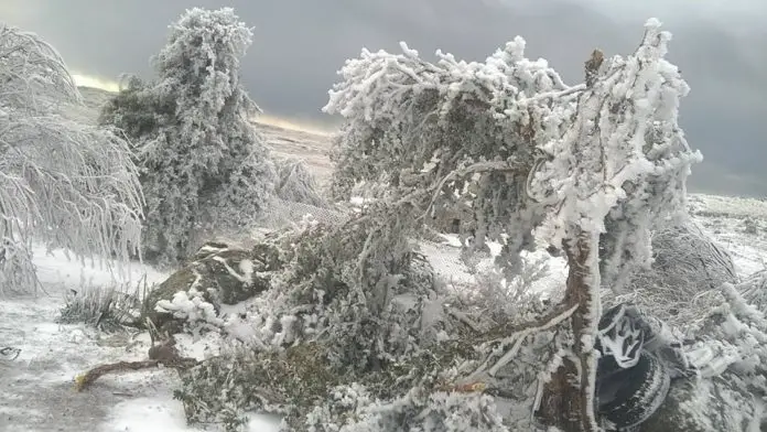Las Altas Cumbres tapizadas de nieve
