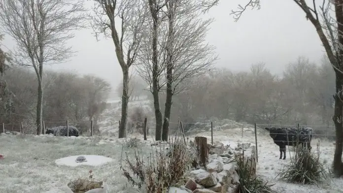 La nieve se apoderó de las Altas Cumbres