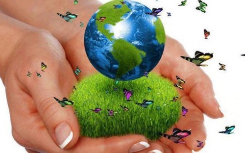 medioambiente.jpg11