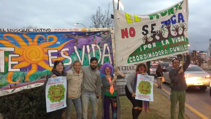 La convocatoria a defender el bosque nativo