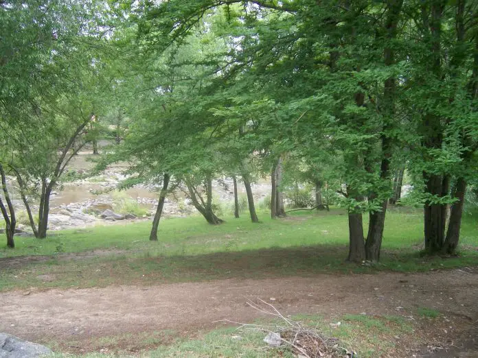 arboles