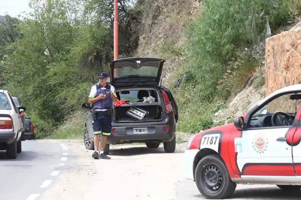 auto verde hallado