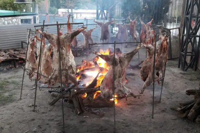 CORDEROS