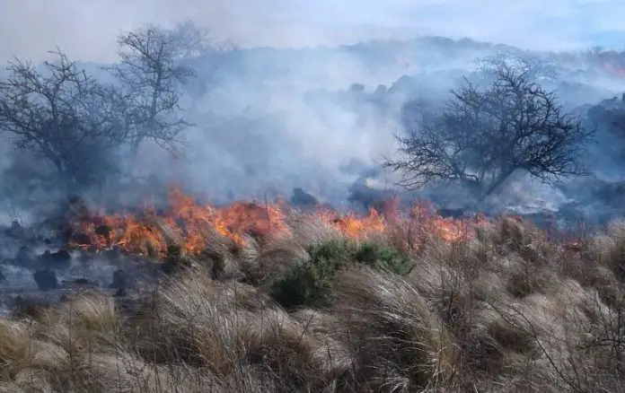 incendio