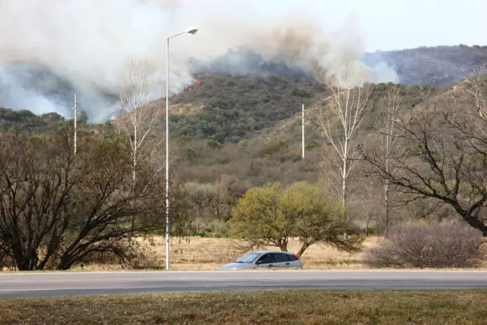 incendioarbolada