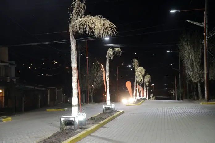 Palmeras y luminarias acompañan al adoquinado