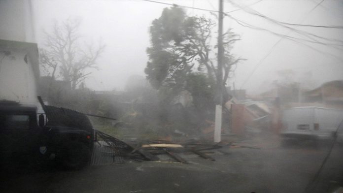 Es grande la devastación que dejó María en la isla