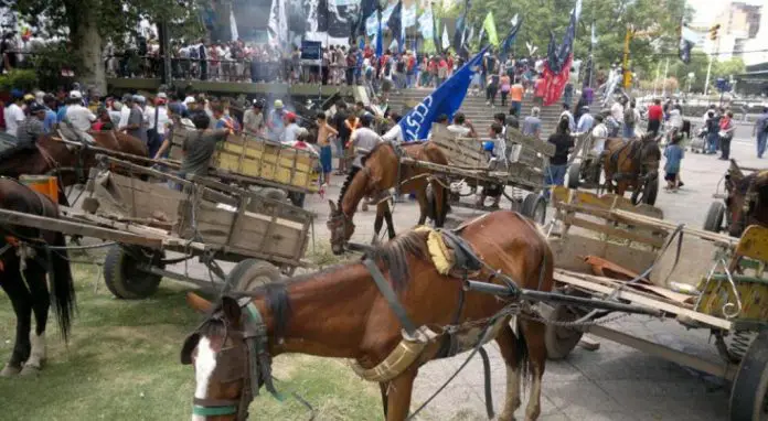 carreros-municipalidad-cordoba