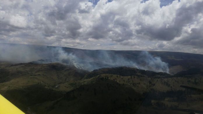 fuego controlado