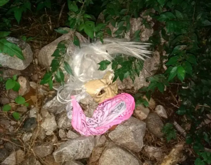 Las caretas secuestradas