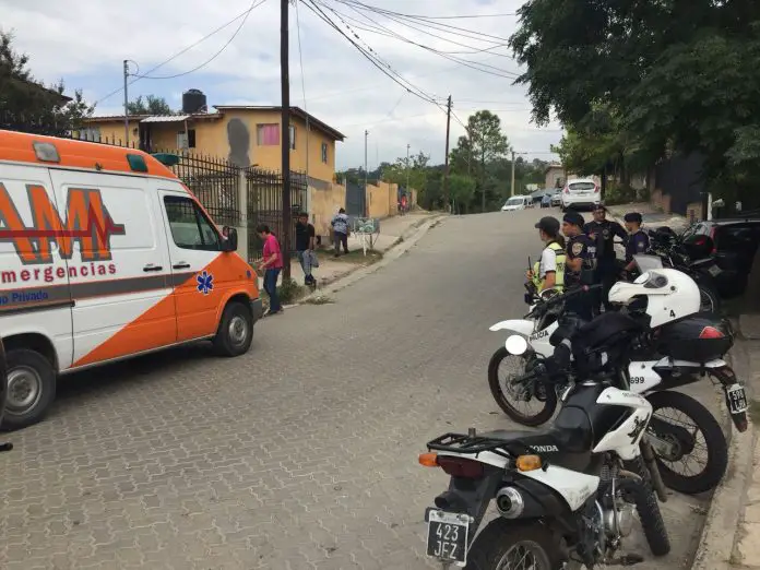 cruce perro