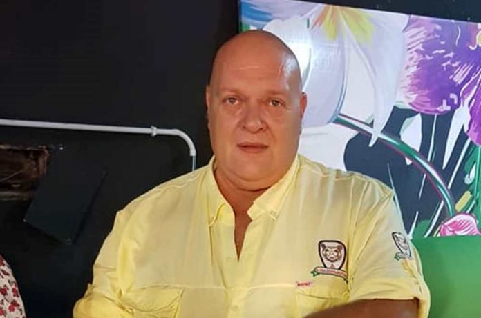el oso 2