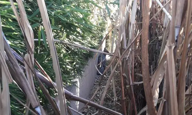 WhatsApp Image 2018-07-30 at 11.06.05