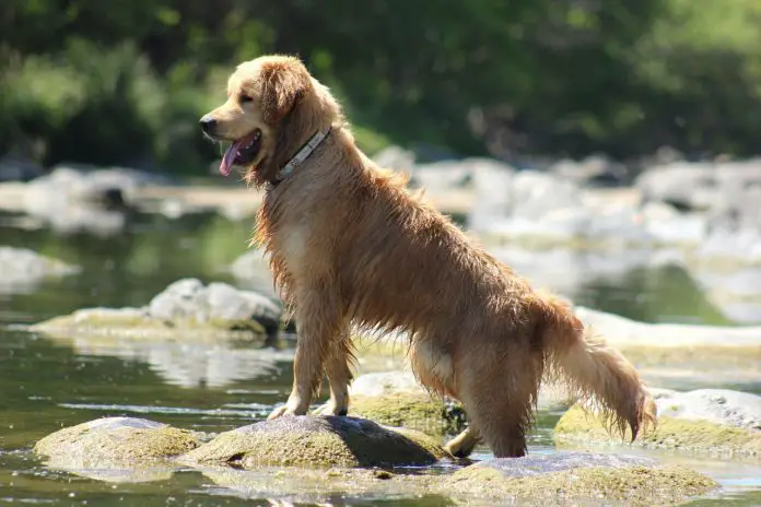 WhatsApp Image 2018-08-23 at 10.49.00