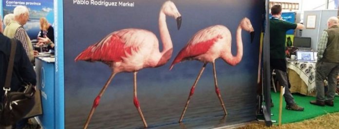 birdfair