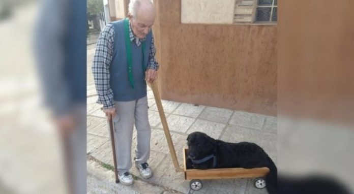abuelo