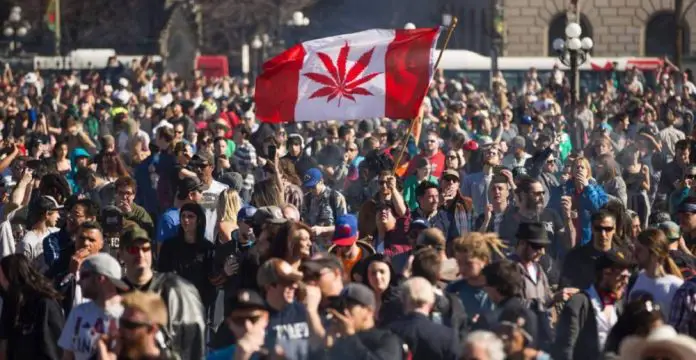 canada marihuana