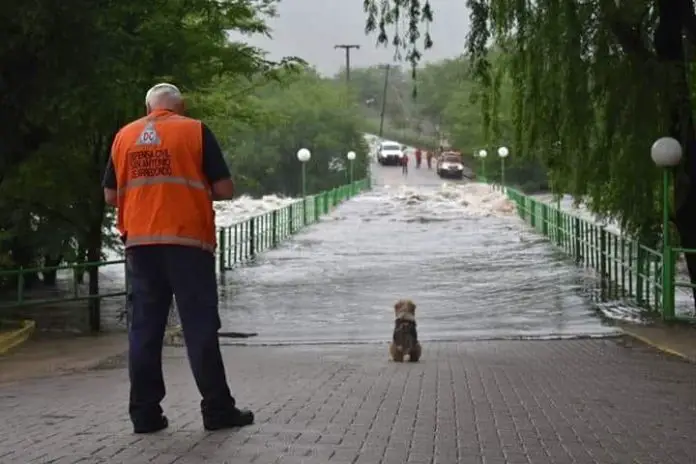 WhatsApp Image 2018-11-14 at 07.46.18