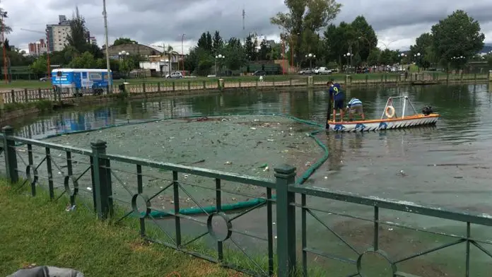 49380422_1765092830261444_6982960011127291904_n