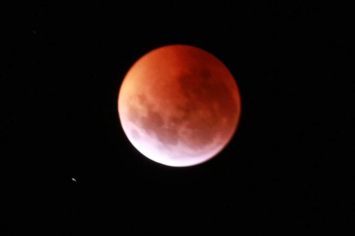 WhatsApp Image 2019-01-21 at 08.35.47