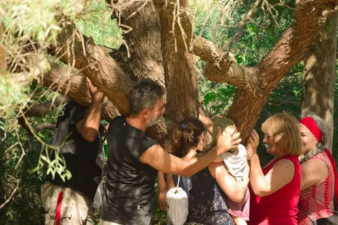 abrazo al arbol san roque