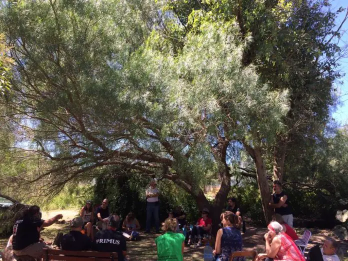 abrazo al arbol san roque