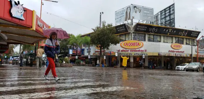 WhatsApp Image 2019-04-21 at 10.44.37