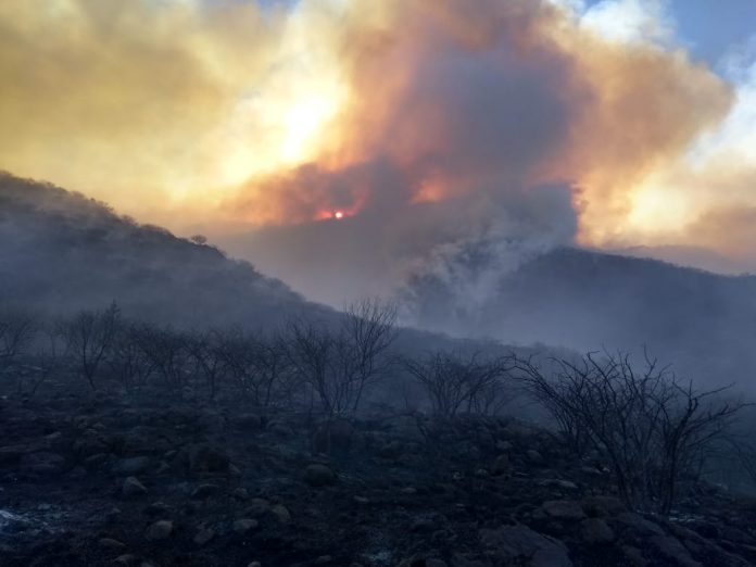 WhatsApp Image 2019-08-02 at 11.26.42 (1)