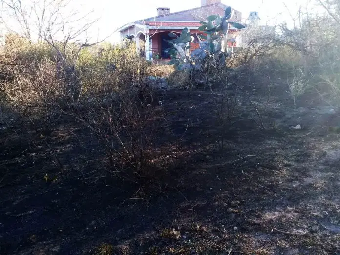 WhatsApp Image 2019-08-06 at 09.17.06 (1)