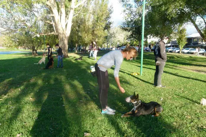 WhatsApp Image 2019-09-25 at 10.44.29