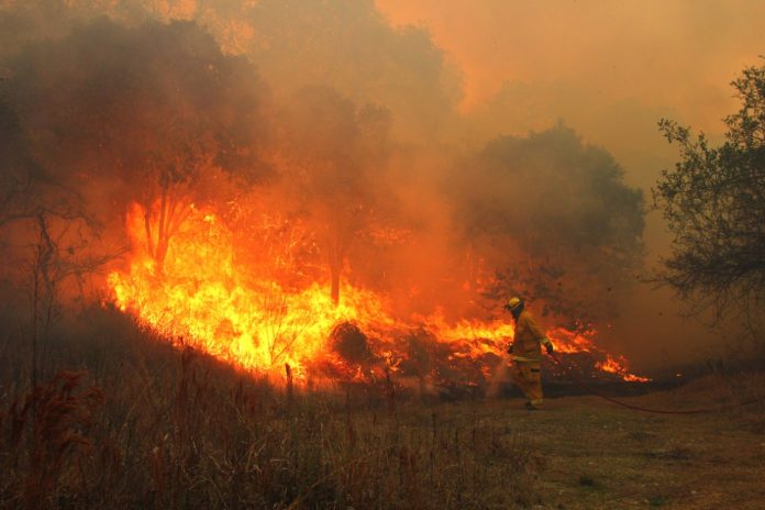 WhatsApp Image 2019-09-25 at 8.10.14 PM