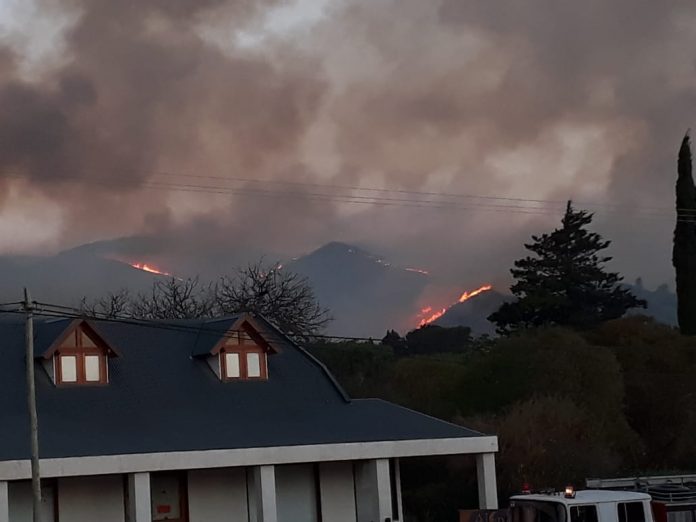 WhatsApp Image 2019-09-28 at 7.34.17 PM