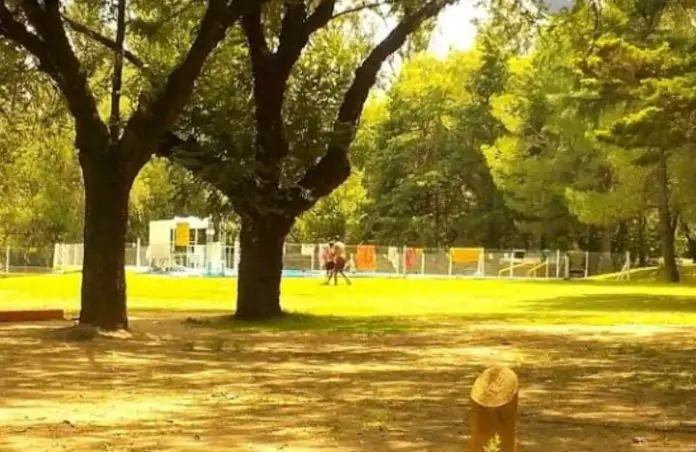 WhatsApp Image 2019-10-21 at 10.50.23 PM