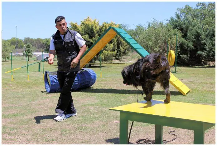 1463141_671458582888086_1236054305_n