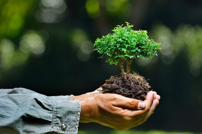 ecologico-696x463