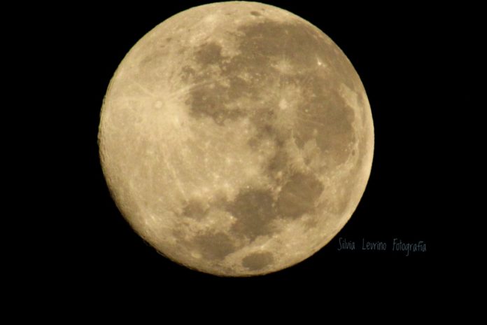 WhatsApp Image 2020-03-10 at 09.52.02