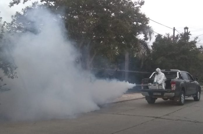 dengue fumigación