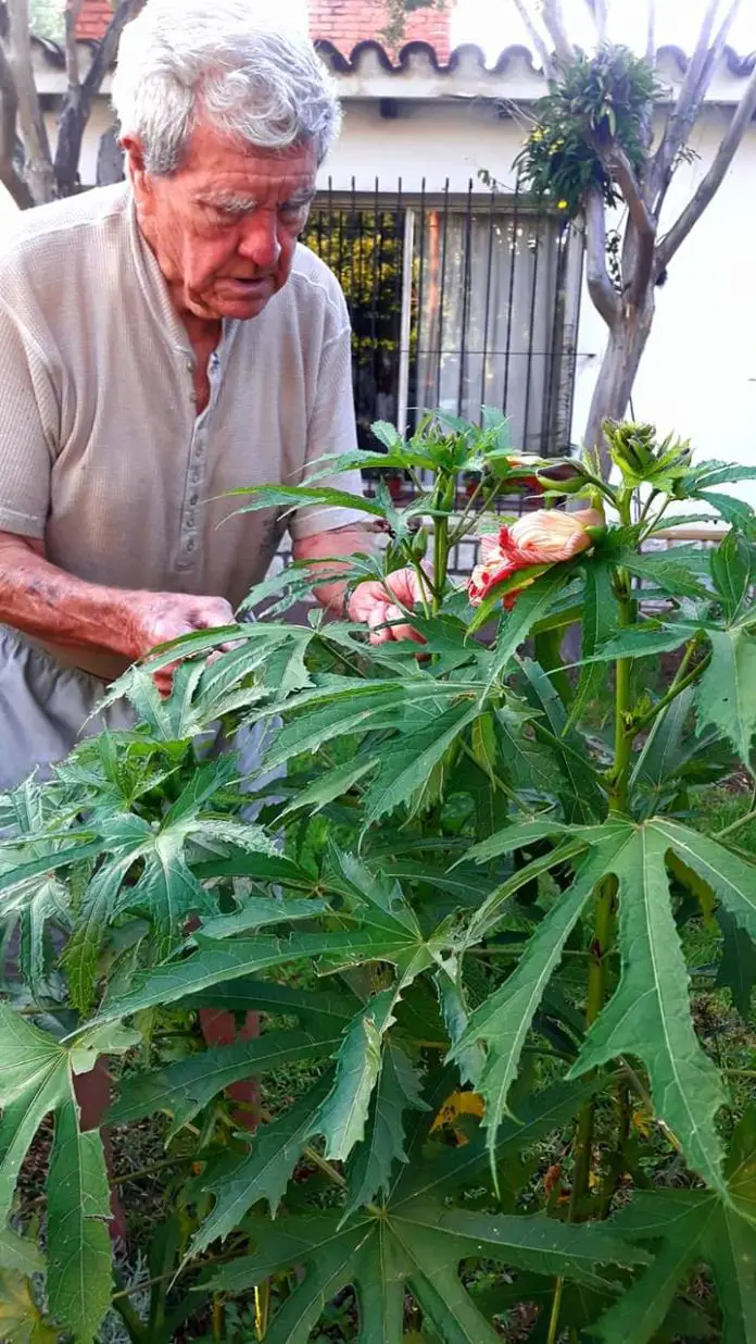 tortolopadre