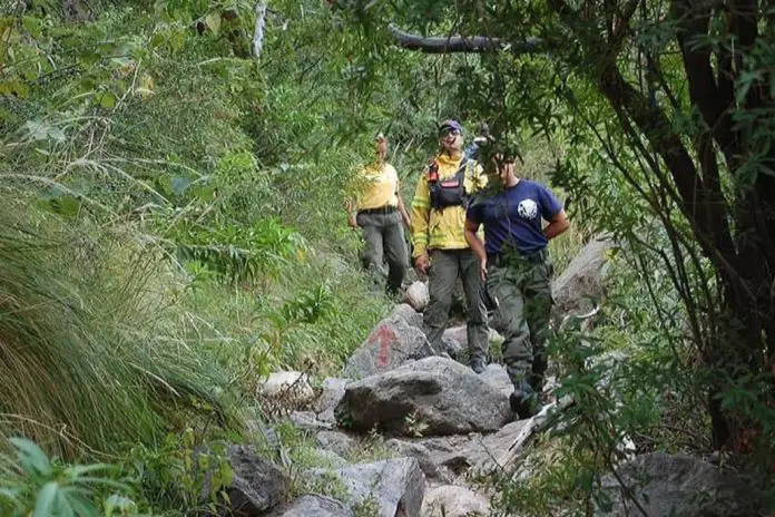 gentileza La Estafeta Online