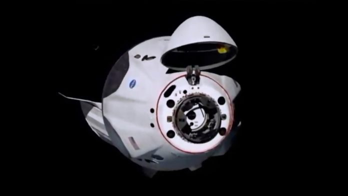 Space X