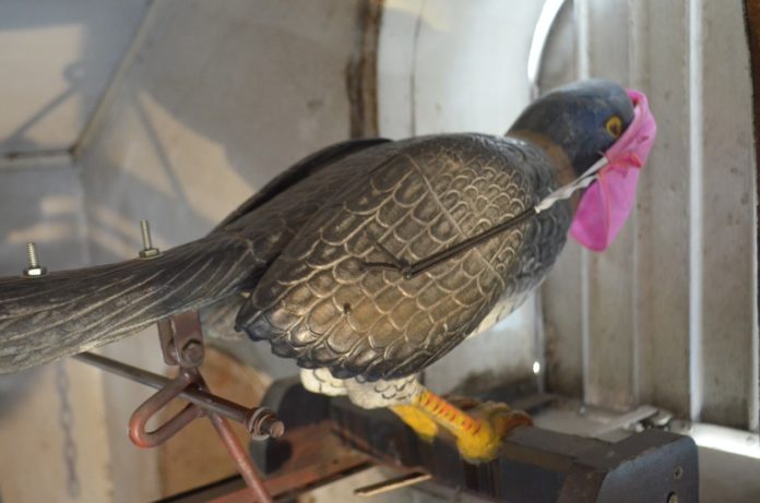 WhatsApp Image 2020-05-23 at 22.14.09 (1)