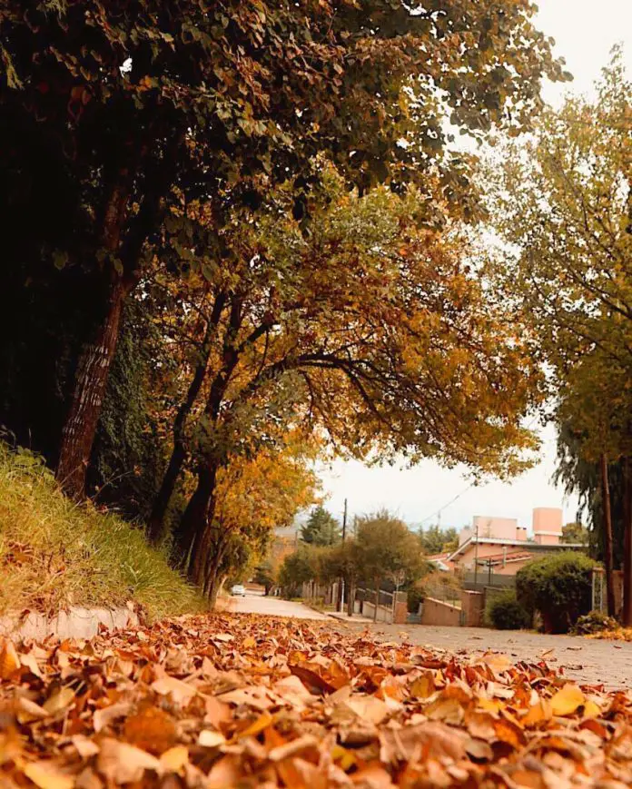 photo4994755681022224634